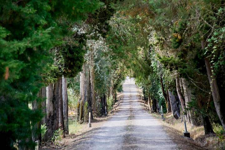 Gîte pour 4 personnes, avec jardin ainsi que vue et piscine dans Ourém - 3