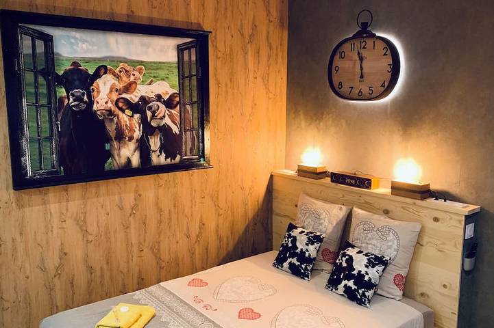Appartement entier, ★Studio Marguerite Cow★ Coeur centre ville  Wifi fibre - Netflix - tout équipé ! in Dole, Jura