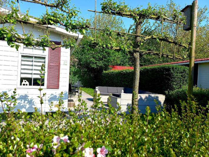 Ferienhaus für 7 Personen, mit Garten und Terrasse, mit Haustier in Zeeland - 2