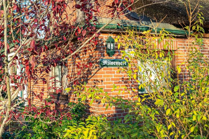Ferienhaus für 6 Personen, mit Terrasse und Garten in Büsum - 3