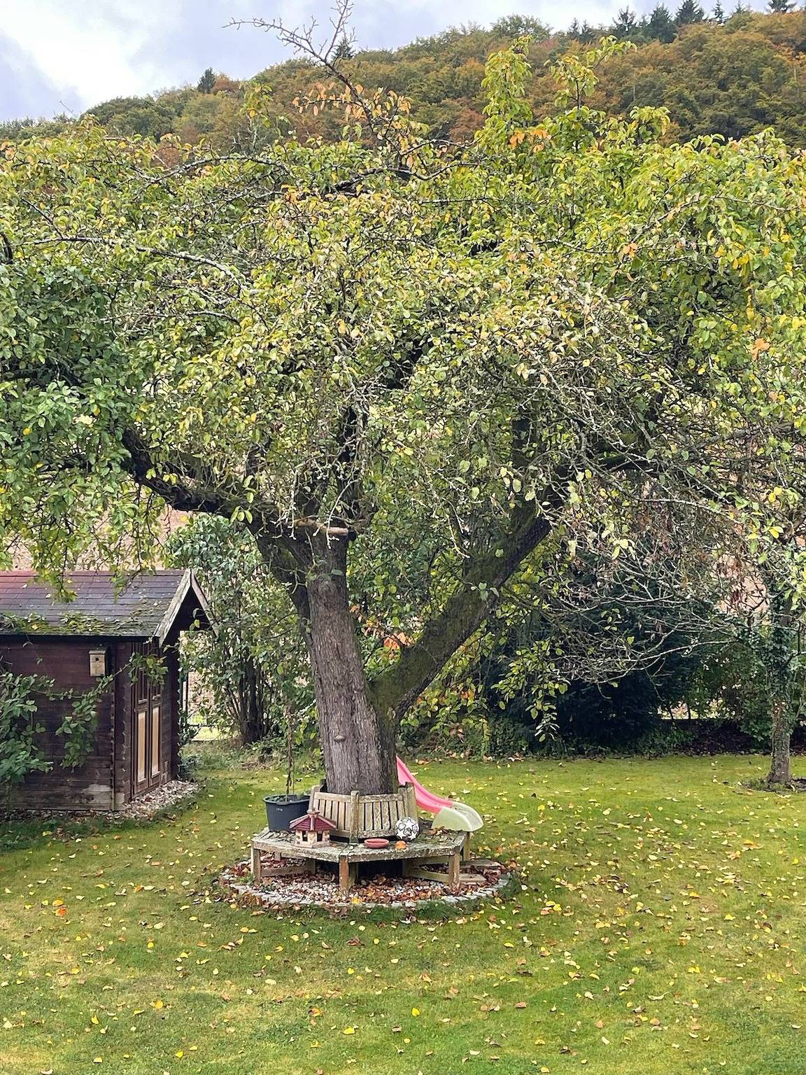 Ferienwohnung im Labertal