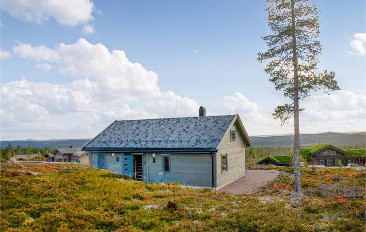 Ferienhaus für 10 Personen, mit Garten und Terrasse, mit Haustier in Trysil - 2
