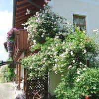 Ganze Wohnung, Haus am Waldrand - Ferienwohnung Augustin - Ferienwohnung in Grafenau, Ostbayern