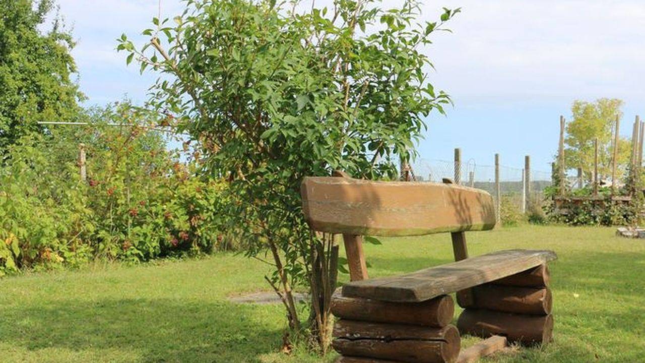 Ganze Ferienwohnung, Ferienwohnung für 5 Personen (54 m²) in Südmüritz in Ludorf, Müritz