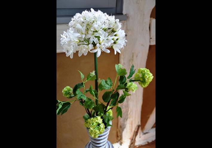 Ferienwohnung für 2 Personen in Radebeul - 4