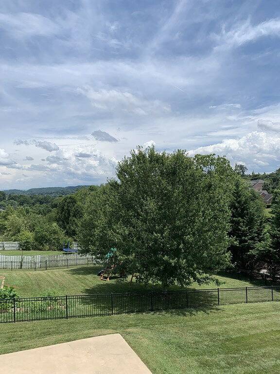 Ganze Wohnung, Close to Brights zoo, close to Jonesborough and Bristol Race, Freedom Hall in Johnson City, Blue Ridge Mountains