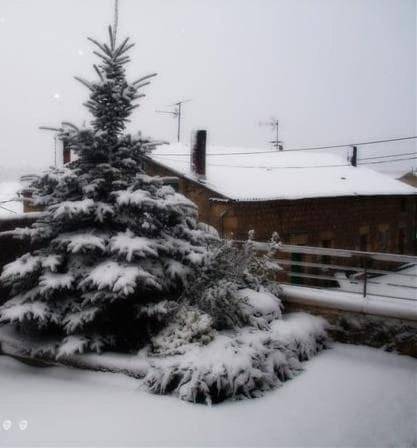 Casa rural para 10 personas, con vistas y jardín en Pinares (Soria) - 3