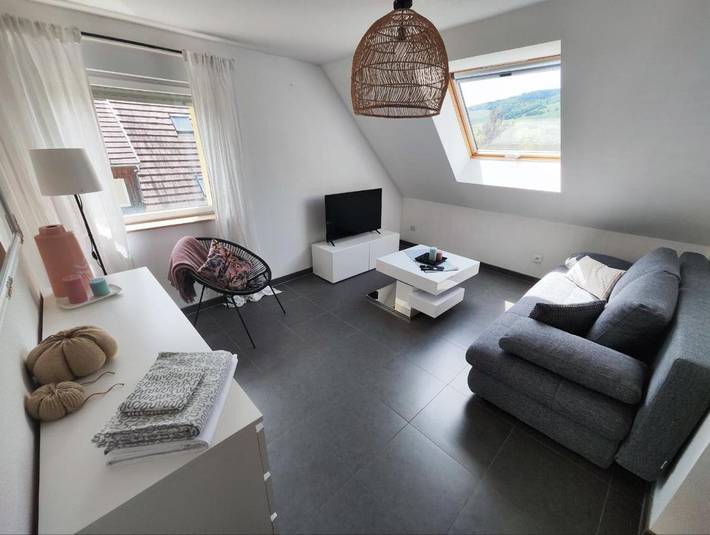 Gîte pour 6 personnes, avec balcon dans La Montagne des Singes - 2