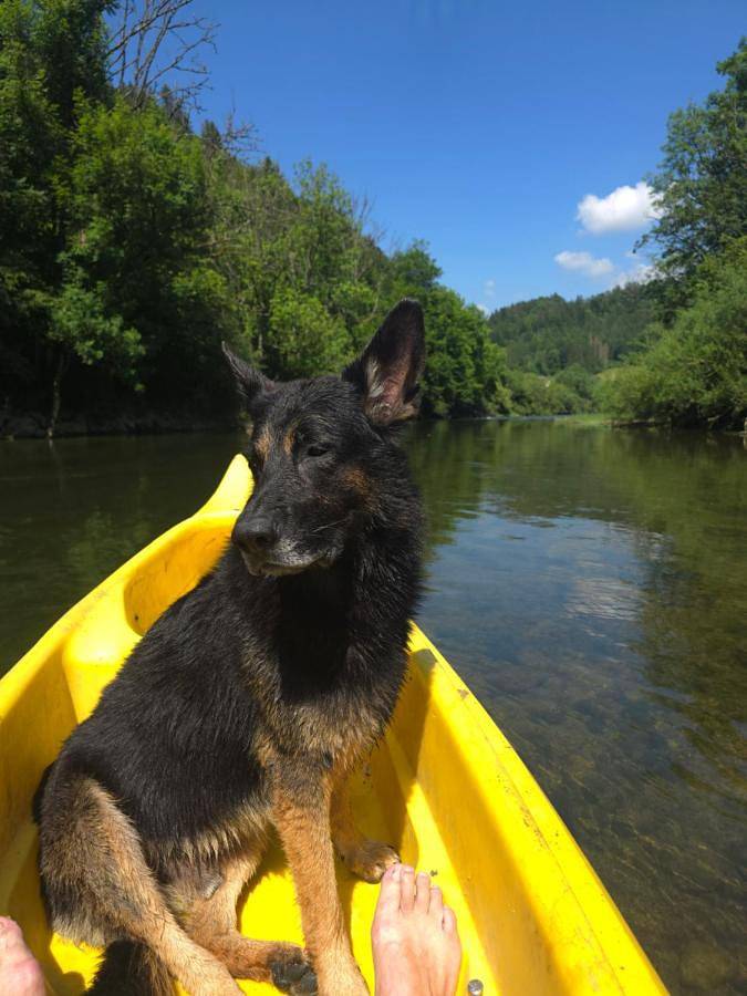 Gîte pour 4 personnes, avec vue et jardin dans Soubey