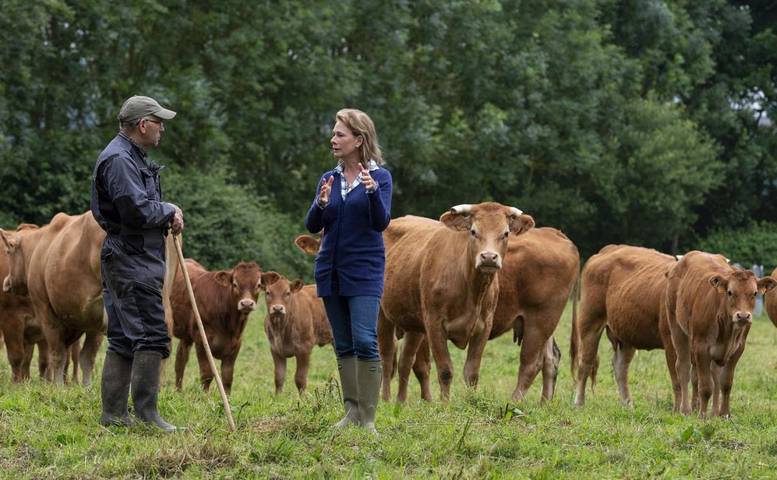 Location de vacances pour 9 personnes, avec terrasse et vue, animaux acceptés à Courtomer - 3