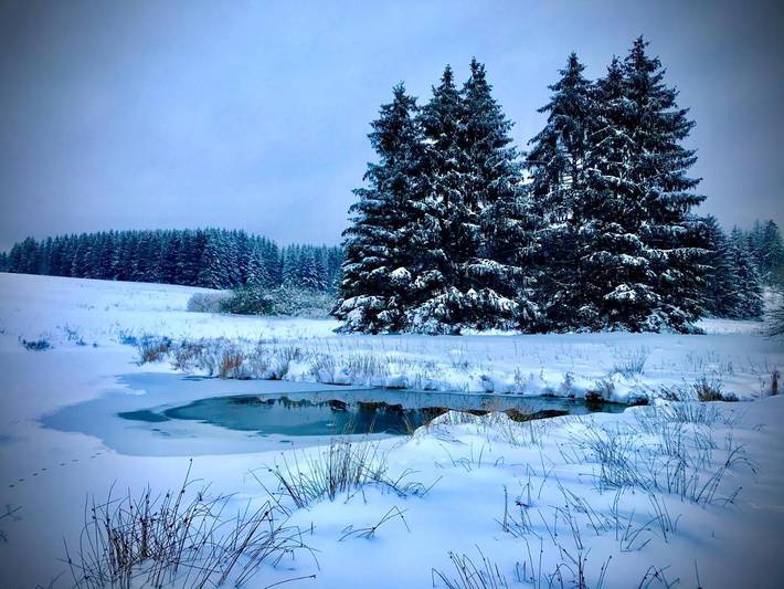 Ferienhaus für 8 Personen, mit Sauna und Ausblick sowie Terrasse, mit Haustier in Buntenbock - 2