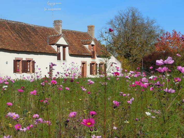 Gîte pour 2 personnes, avec jardin et piscine, animaux acceptés dans le Loir-et-Cher - 4