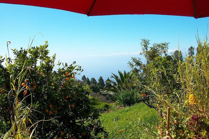 Landhaus Auf Bio-Orangen-Finca, 40.000m2, gr. Sonnenterrasse, Magische Momente! in Puntagorda, La Palma Nord