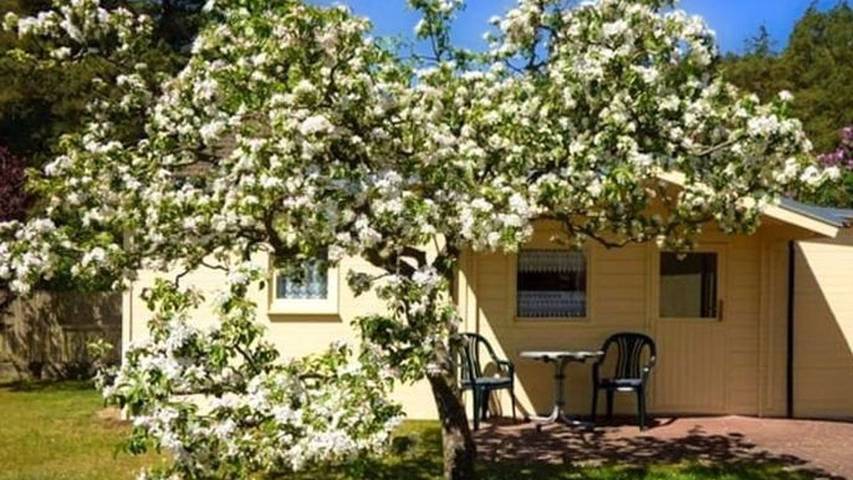 Bungalow für 2 Personen, mit Garten in Loddin - 2