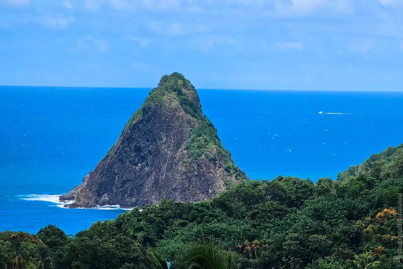 Bungalow avec piscine au c?ur de la campagne Vert in Sainte-Marie, Martinique