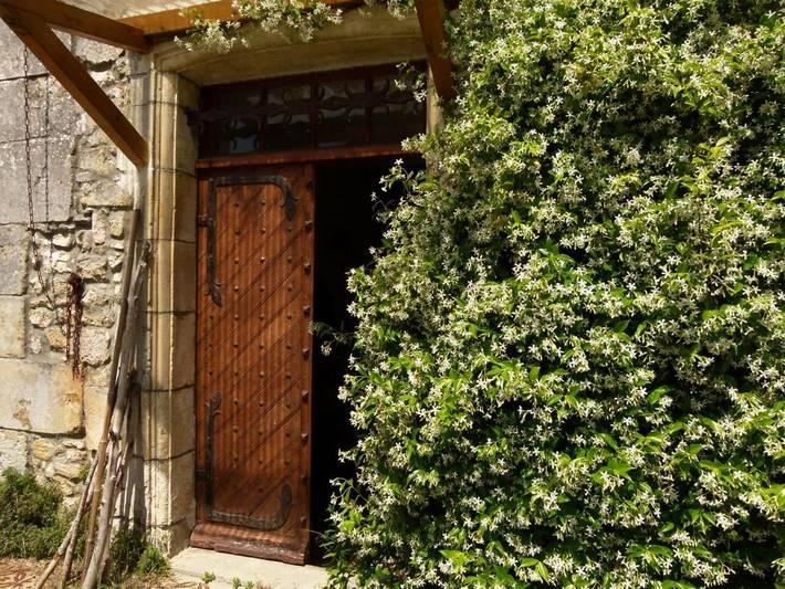 Location de vacances pour 3 personnes, avec jardin et vue à Champagne (Charente-Maritime)