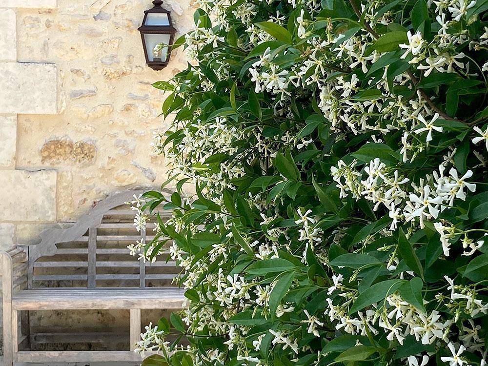 La Réserve - Maison Petit in Église-Neuve-d'Issac, Périgord Pourpre