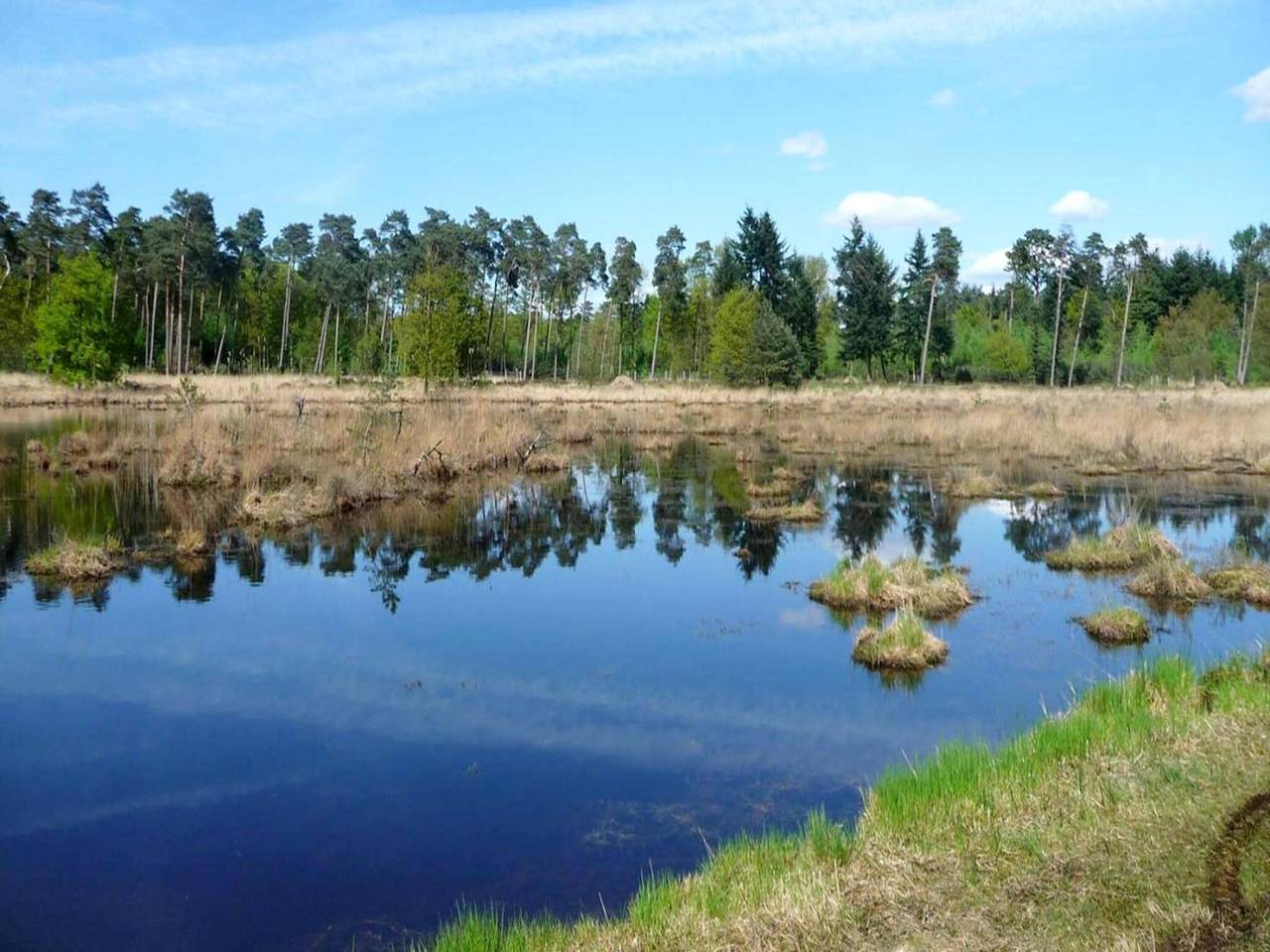 Strandlodge mit Seeblick in Ravels in Poppel, Ravels
