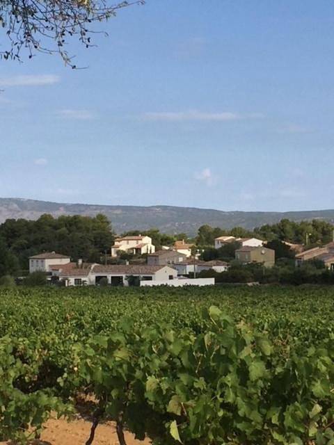 Location de vacances pour 4 personnes, avec vue ainsi que jardin et piscine à Pourcieux - 4