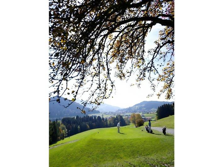 Ferienhaus für 7 Personen, mit Sauna und Garten sowie Pool und Balkon, kinderfreundlich in Oberstaufen - 4