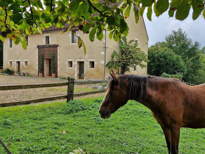 Gîte pour 14 personnes, avec Terrasse et Jardin à Arquian