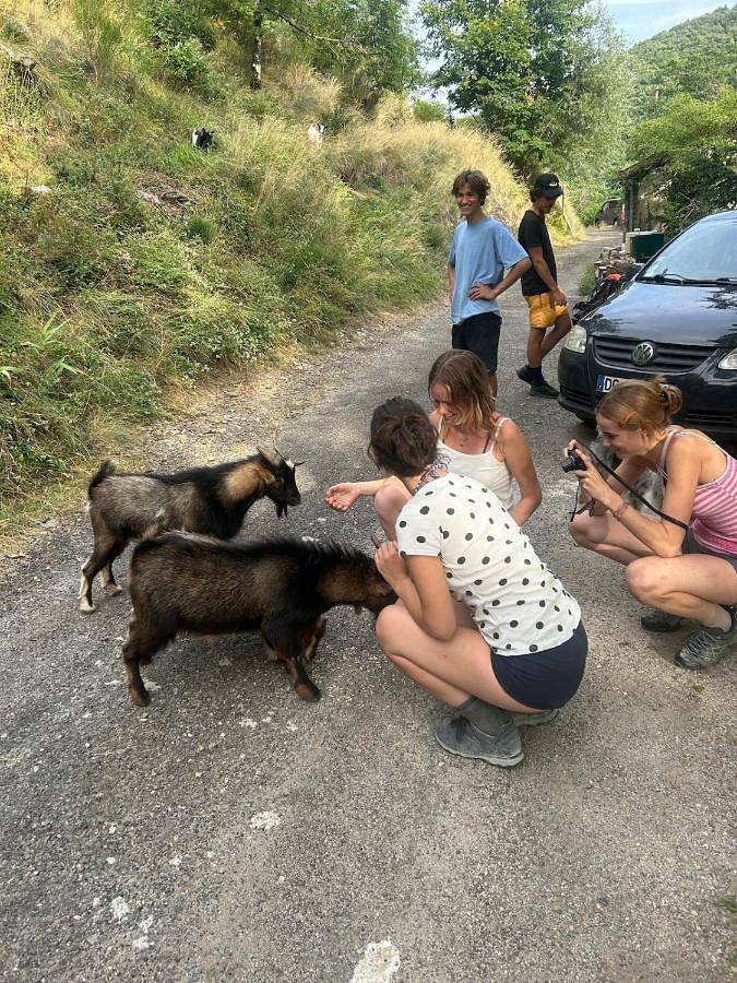 Tente pour 2 personnes, avec jardin dans Lozère - 4