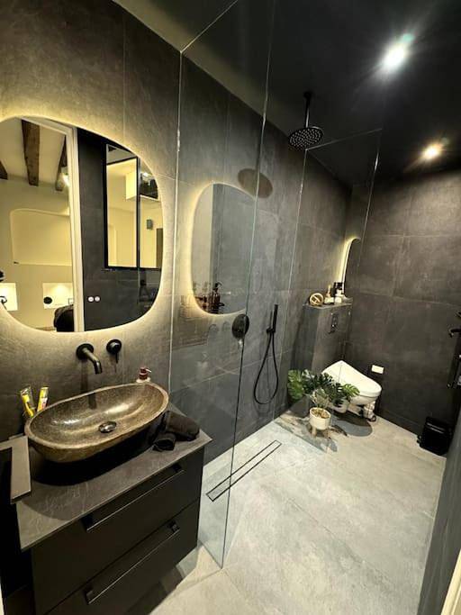 Gîte pour 2 personnes, avec jacuzzi ainsi que sauna et terrasse dans Aéroport Paris-Charles de Gaulle - 3