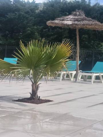 Gîte pour 15 Personnes dans Aubres, Région de nyons, Photo 2