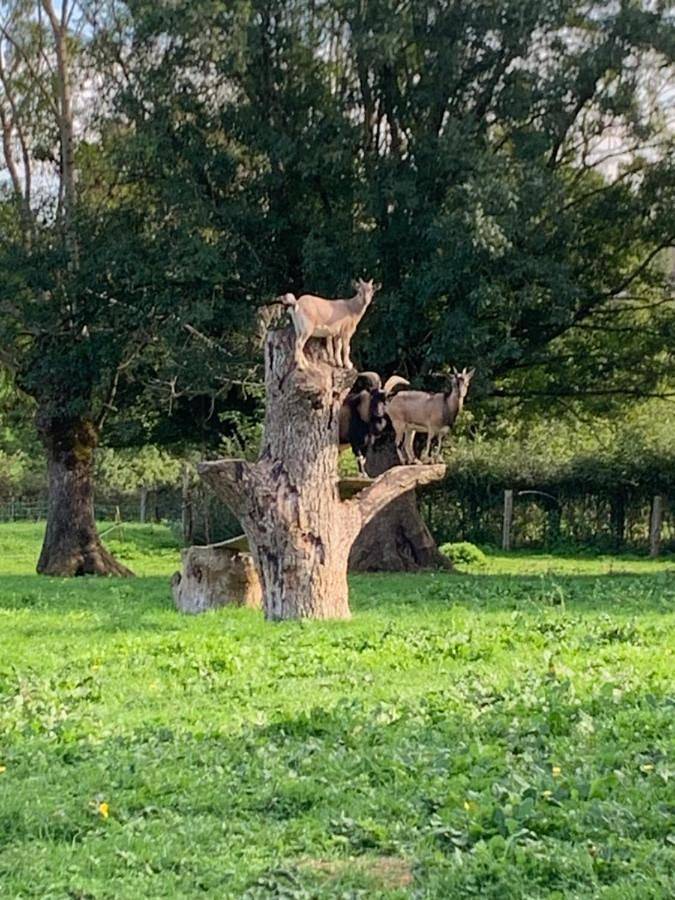 Location de vacances pour 6 personnes, avec jardin ainsi que terrasse et vue à Saint-Pardoux (Deux-Sèvres)