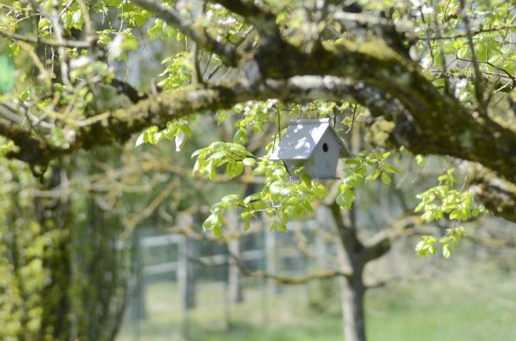Gîte pour 6 personnes, avec jardin ainsi que vue et piscine, animaux acceptés à La Chapelle-de-Bragny