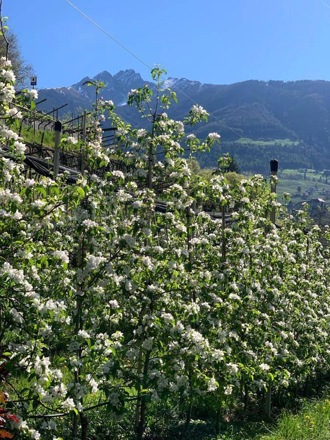 Tannerhof Bed & Breakfast in Kuens, Passeiertal