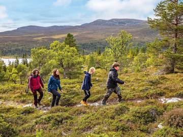 Ferienhaus für 12 Personen in Idre, Älvdalen und Umgebung, Bild 3