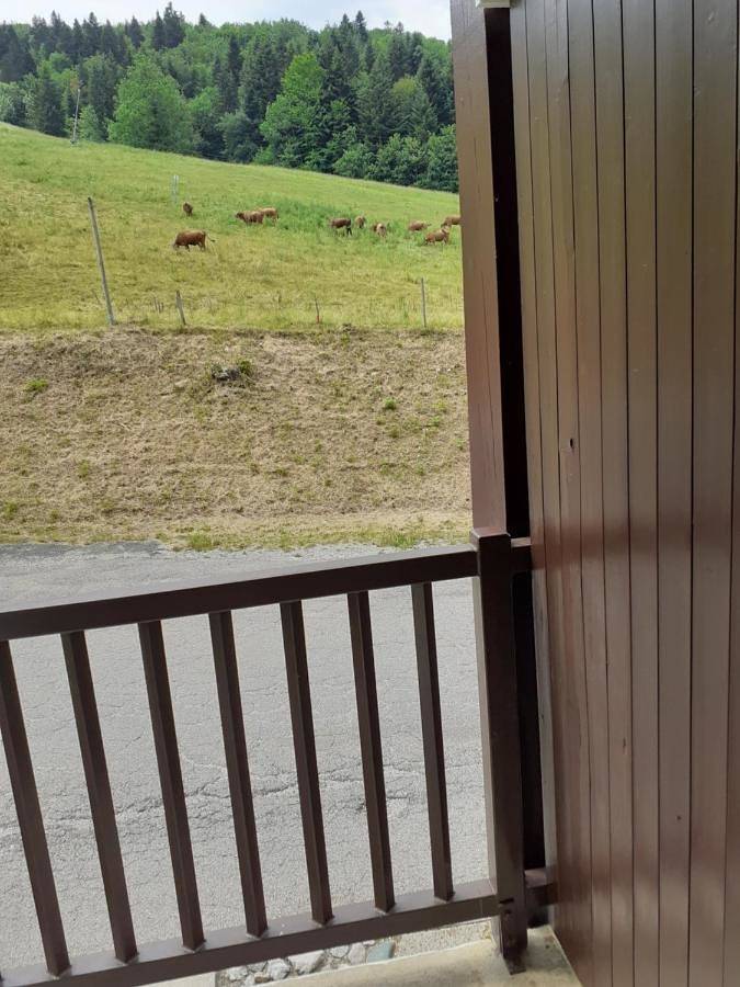Appartement entier, Le rossane in Aillon-le-Jeune, Région de Chambéry