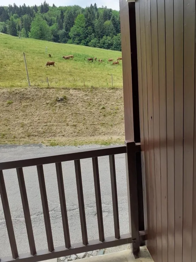 Apartamento de vacaciones para 5 personas, con vistas y balcón, Se admiten mascotas - 1