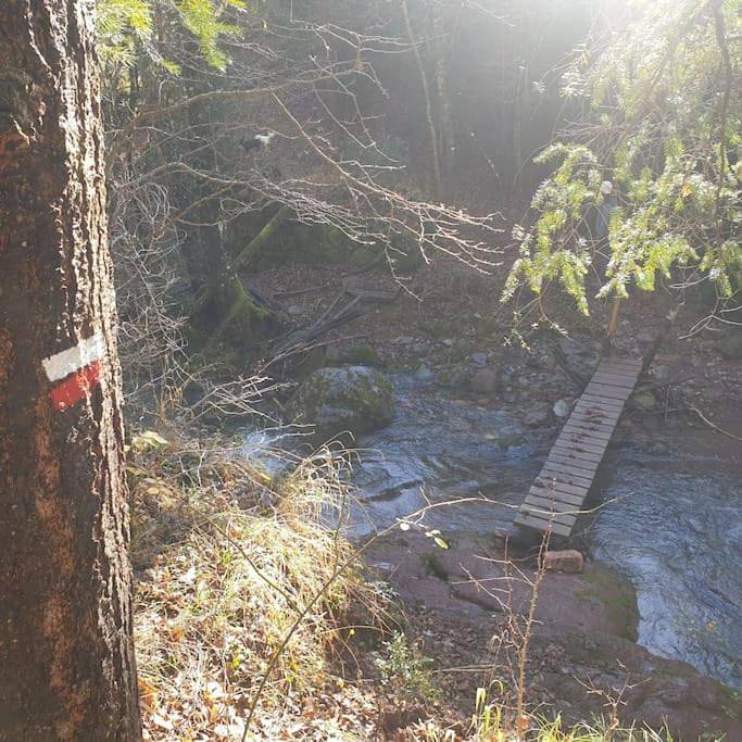 Gîte pour 6 personnes à La Pobla de Lillet - 3