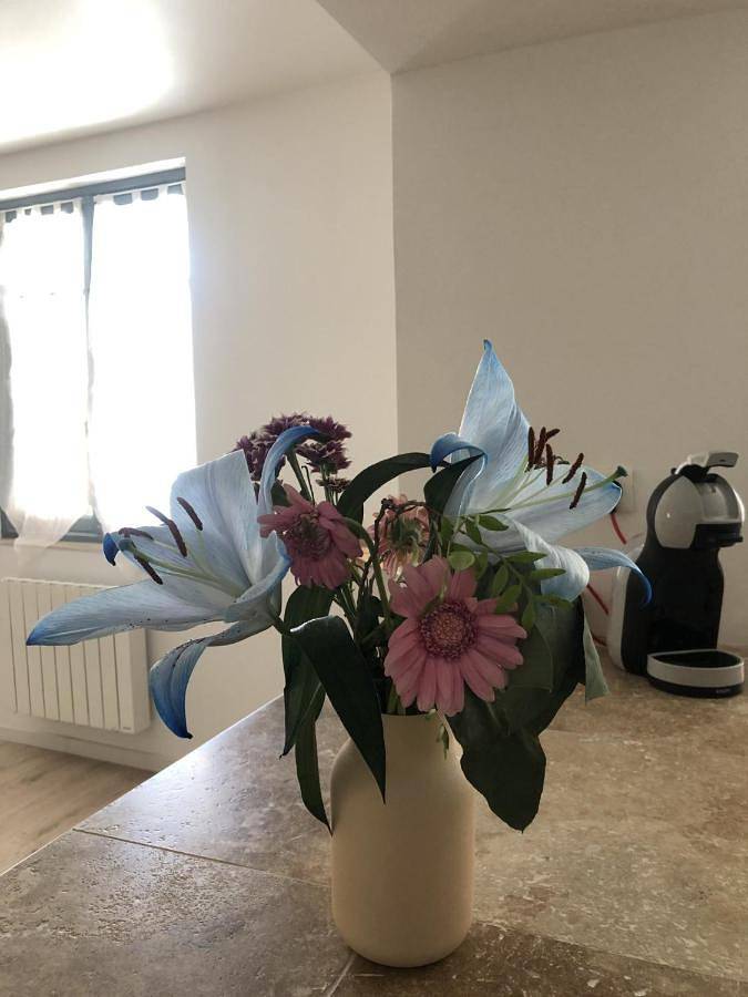 Appartement entier, Charmant et Lumineux in Caussade, Quercy