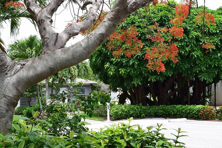 Vacation rental for 6 people, with balcony, with pets in Sanibel