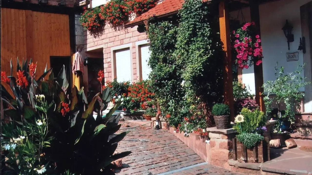 Ganze Ferienwohnung, Ferienwohnung für 4 Personen (58 m²) in Sippersfeld in Sippersfeld, Donnersbergkreis