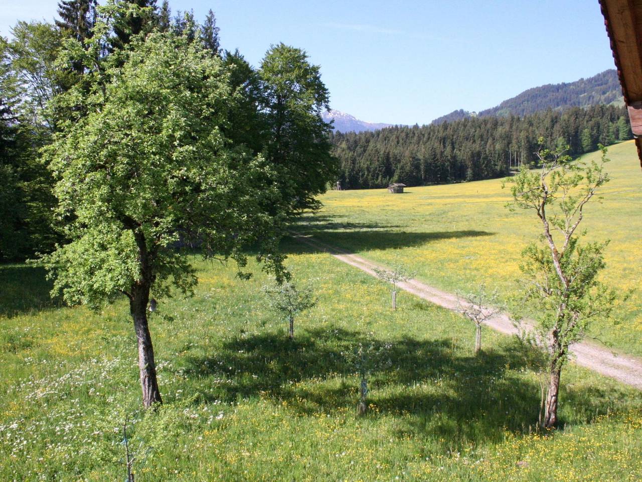 Ferienhaus für 9 Personen mit Garten in Hopfgarten im Brixental, Kaisergebirge