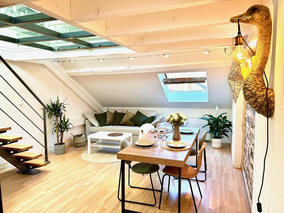 Appartement entier, One-Bedroom Apartment in Le Thillot, Région d'Épinal