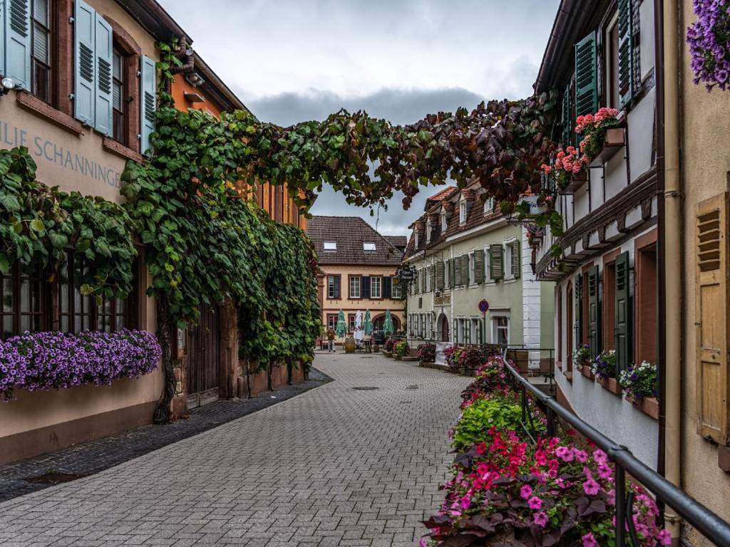 Hotel Dalberg in Sankt Martin, Südliche Weinstraße