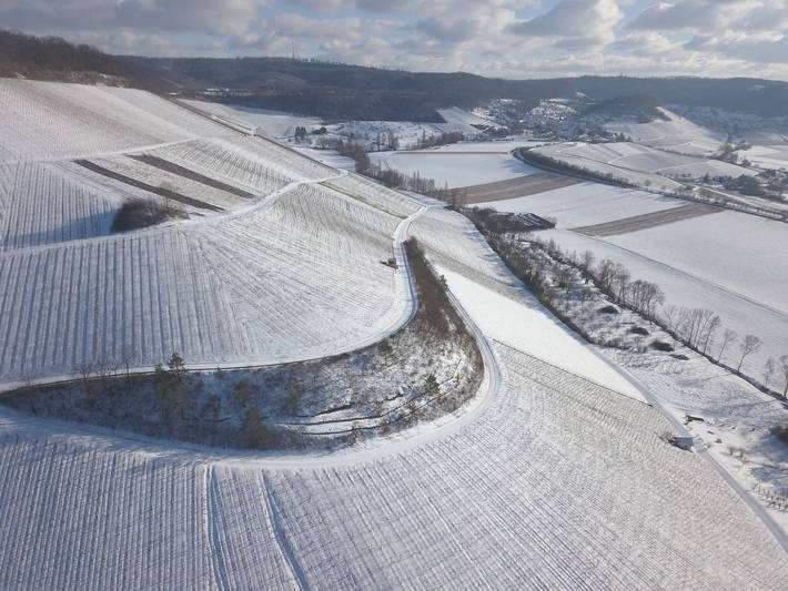 Ganze Ferienwohnung, Winzerhof am Schlierbach - Einzelzimmer Weinbergblick in Obersulm, Landkreis Heilbronn