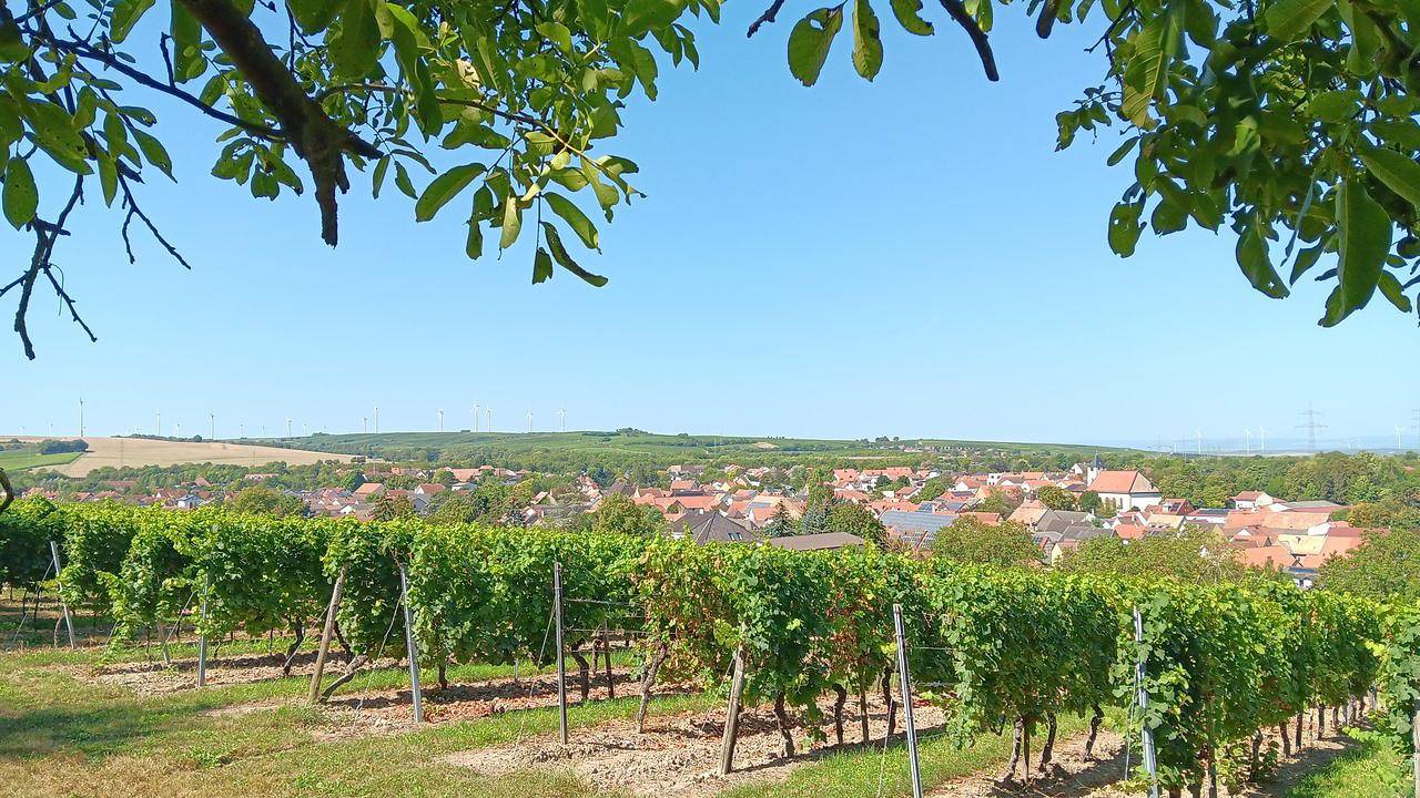Ferienhaus für 4 Personen (90 m²) in Albig in Albig, Kurpfalz