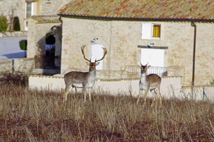 Gîte pour 11 personnes, avec vue ainsi que jardin et piscine à Redortiers