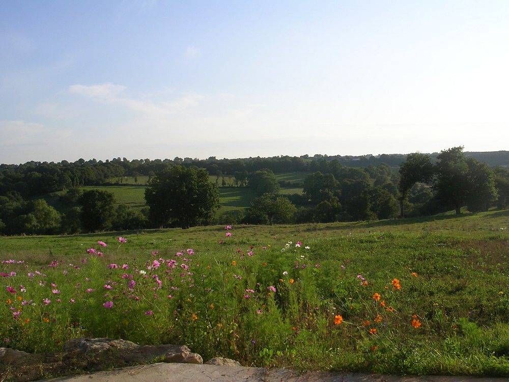 Gîte de Vieil Mur in La Séguinière, Région de Cholet