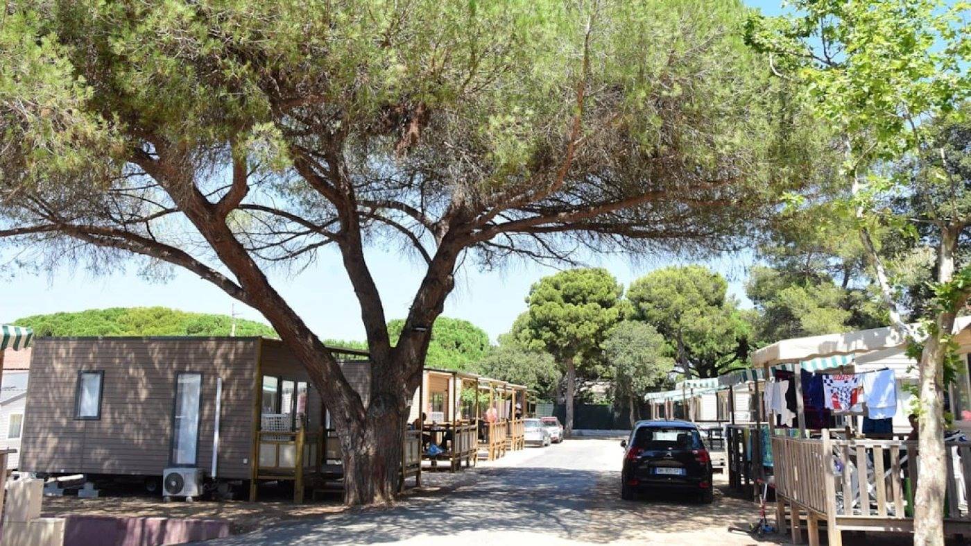 Zecamping 3* 200m plage locatif Tv clim 26m2 6 pers in Hyeres, Parc national Port-Cros