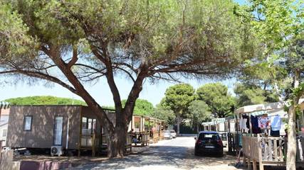 Camping für 6 Personen in Hyeres, Toulon Region, Bild 3