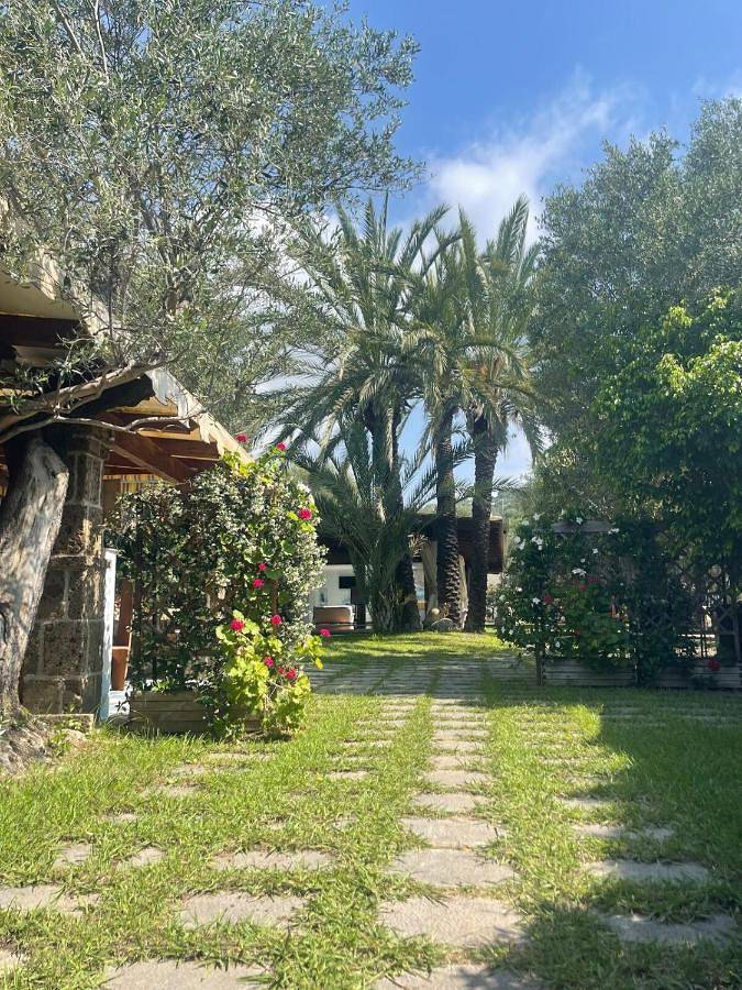 Parc de vacances pour 8 personnes, avec jardin dans Marina di Camerota - 2