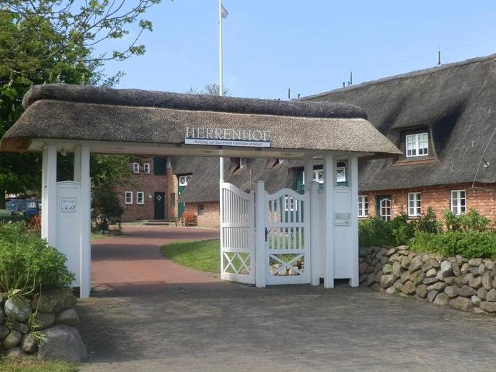 Herrenhof - FeWo Nr. 5 in Nordfriesische Inseln (Schleswig-Holstein) (Schleswig-Holstein), Wrixum