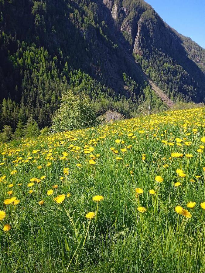 Gîte pour 6 personnes, avec terrasse et vue, animaux acceptés à Bionaz - 3